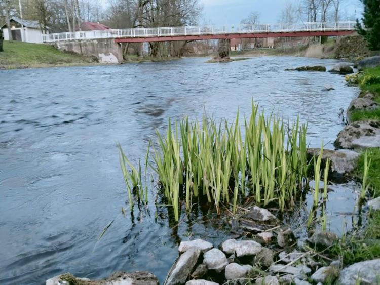 Lossi 8 -4 Poltsamaa Maida Exteriér fotografie